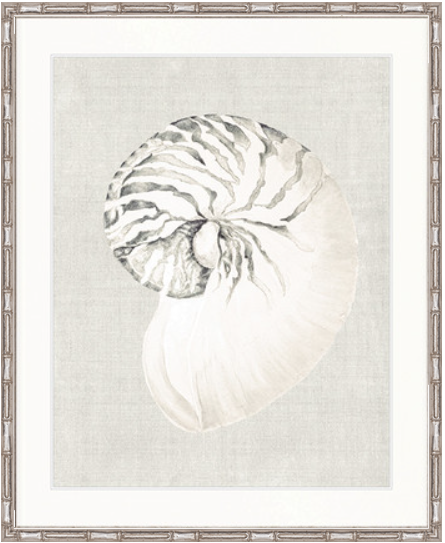 Shell on Linen II