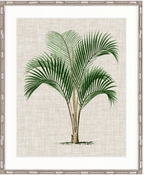 St Aman Palm I