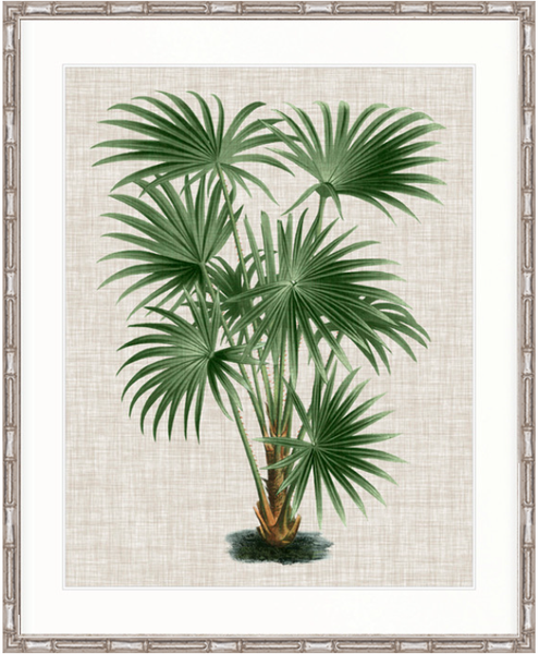 St Aman Palm V