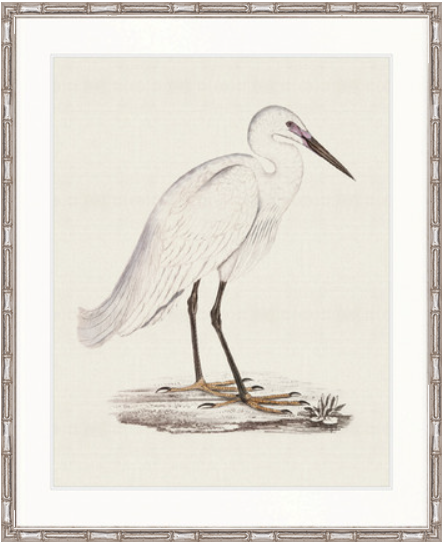 Vintage Waterbird VI
