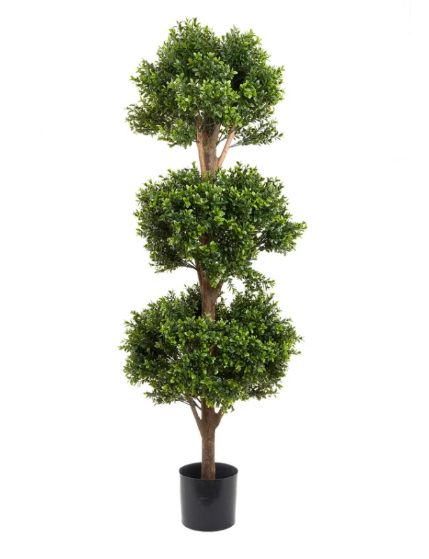 Boxwood Triple Ball Tree 1.2 Meter