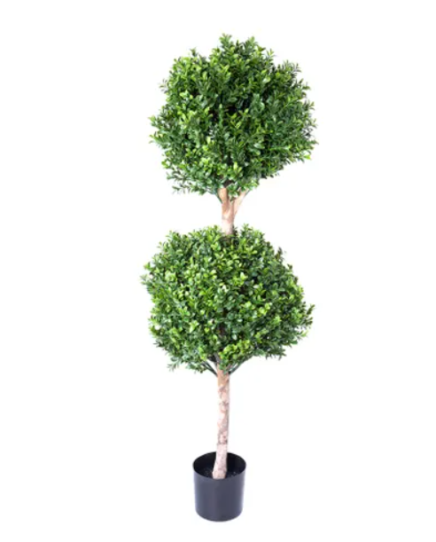 Multiball Tree Boxwood Double Ball Tree 110cm