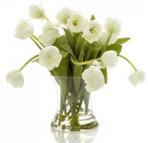 Tulip in Water in Glass Vase White