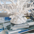 Coral Pinnate White