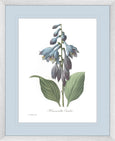 Botanical #02 Print with Blue Mat