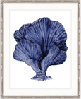 Indigo Coral Splendour XIII Framed Print