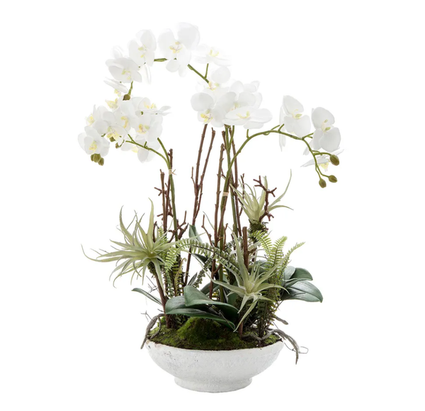 Orchid with Ferns 60cm White