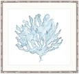 Pale Blue Coral III
