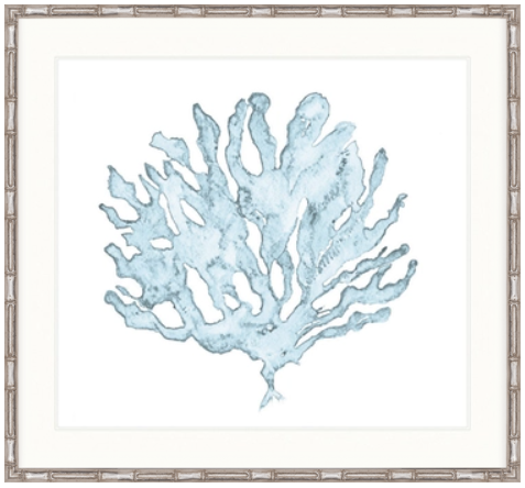 Oceanic Coral Pale Blue III