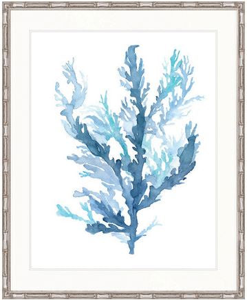 Pastel Seaweed II