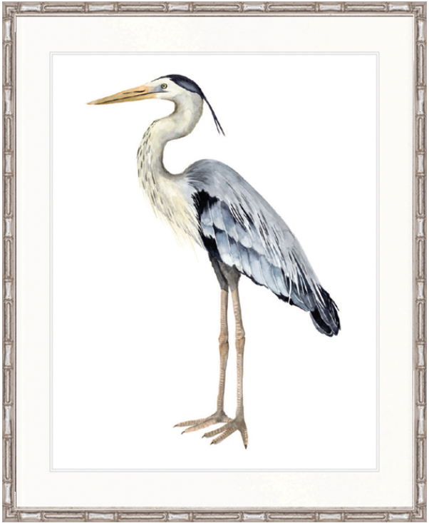 Watercolour Sea Bird III