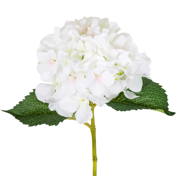 White Hydrangea Stem 62cm